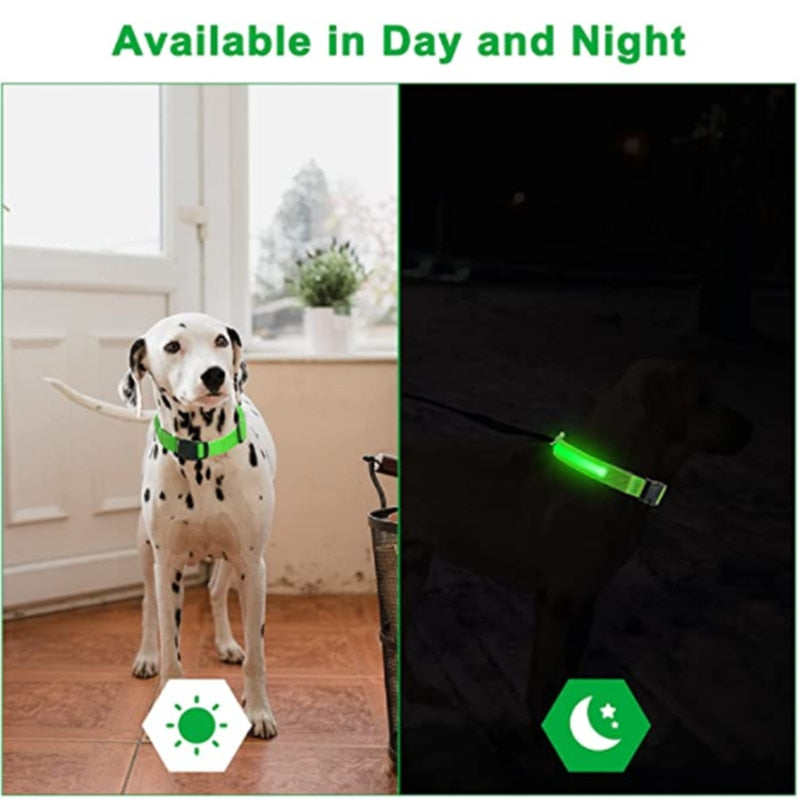 LED Glowing Dog Collar Adjustable Flashing Recharge a Luminous Collar Night Anti-Lost Dog Light HarnessFor Small Dog Pet Products