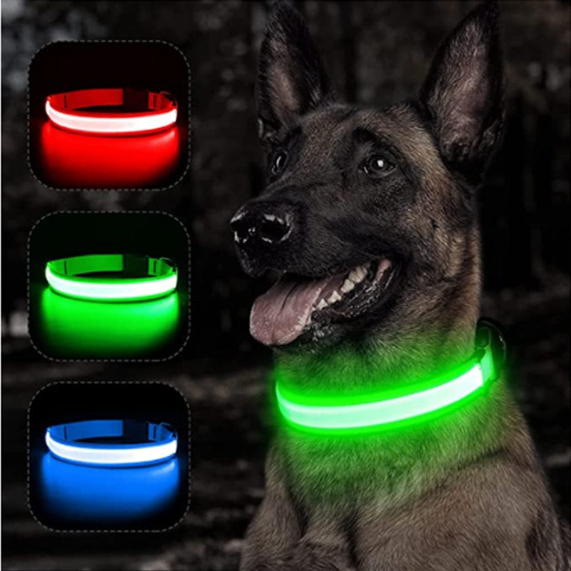 LED Glowing Dog Collar Adjustable Flashing Recharge a Luminous Collar Night Anti-Lost Dog Light HarnessFor Small Dog Pet Products