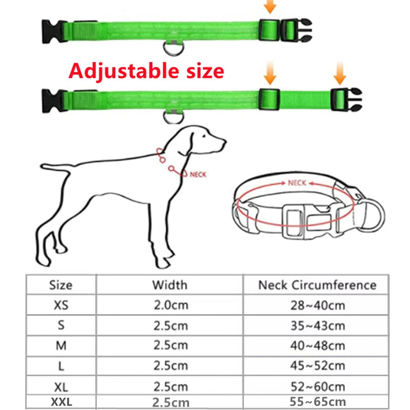 LED Glowing Dog Collar Adjustable Flashing Recharge a Luminous Collar Night Anti-Lost Dog Light HarnessFor Small Dog Pet Products